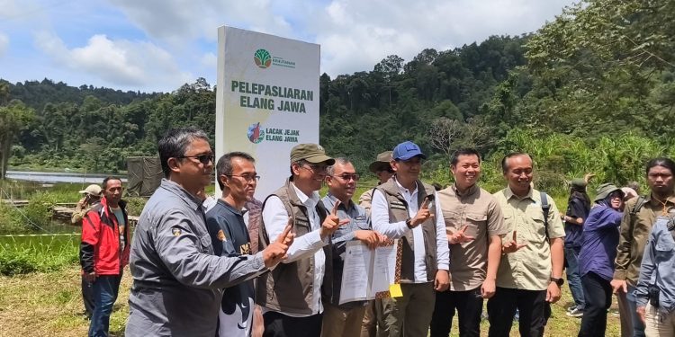 Balai Besar TNGGP Lepas Liar Elang Jawa Raja Dirgantara ke Alam di Situ Gunung Sukabumi