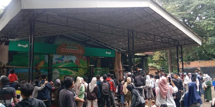 Kebun Binatang Bandung Dipadati Wisatawan, Wisata Edukasi Sangat Asri