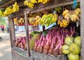 Kios Buah Nurbaing Berlokasi di Jalan Cisolok Palabuhanratu, UMKM yang Tumbuh Lewat Pemberdayaan Petani
