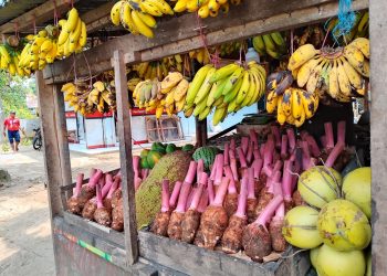 Kios Buah Nurbaing Berlokasi di Jalan Cisolok Palabuhanratu, UMKM yang Tumbuh Lewat Pemberdayaan Petani