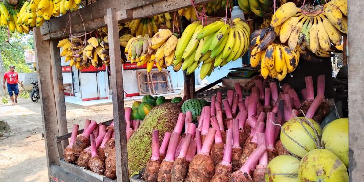 Kios Buah Nurbaing Berlokasi di Jalan Cisolok Palabuhanratu, UMKM yang Tumbuh Lewat Pemberdayaan Petani
