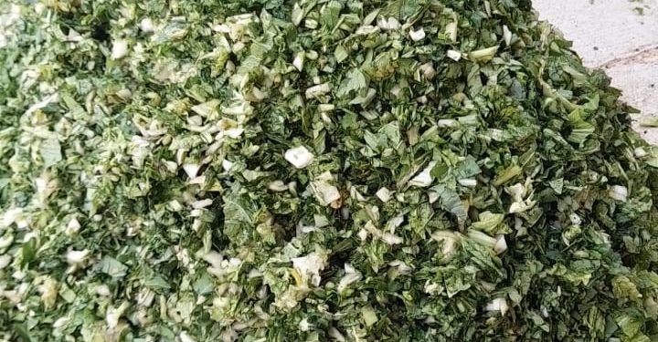 Limbah Sayuran Pasar Tradisional Palabuhanratu Diolah Jadi Pakan Fermentasi di Pratama Farm