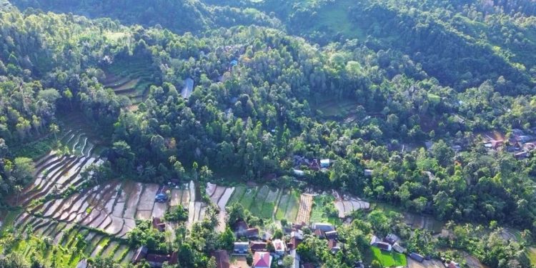 Desa Sirnarasa, Cikakak: Merawat Alam, Menguatkan Ekonomi, Menjemput Peluang